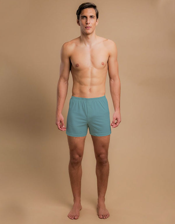 Men's Essential Boxer Shorts-Zink